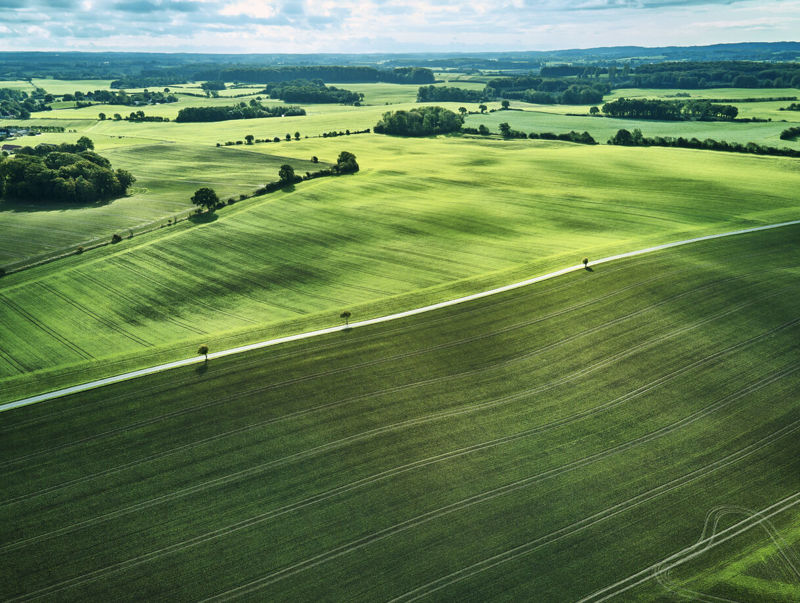 Farm fields
