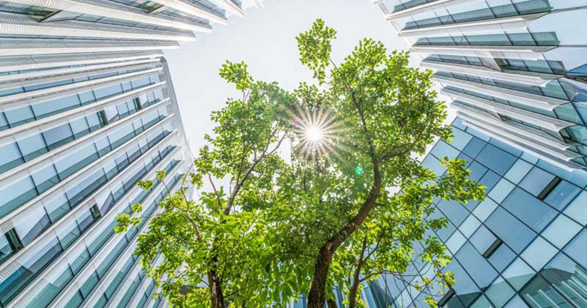 Environmental, Safety and Health (ESH) Summer Seminar 2026