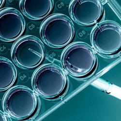 Science-Pipette-Petridish