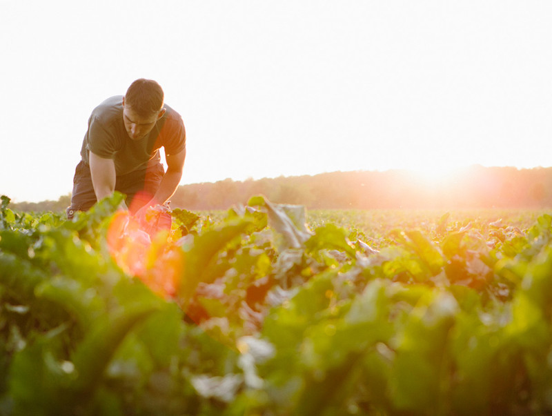 Agriculture Farmer