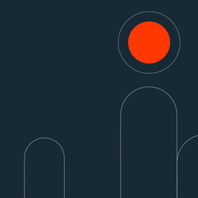 Darina Kogan Bellamy